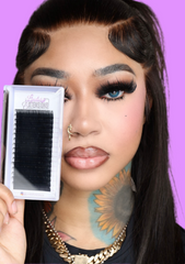 Lash Collection